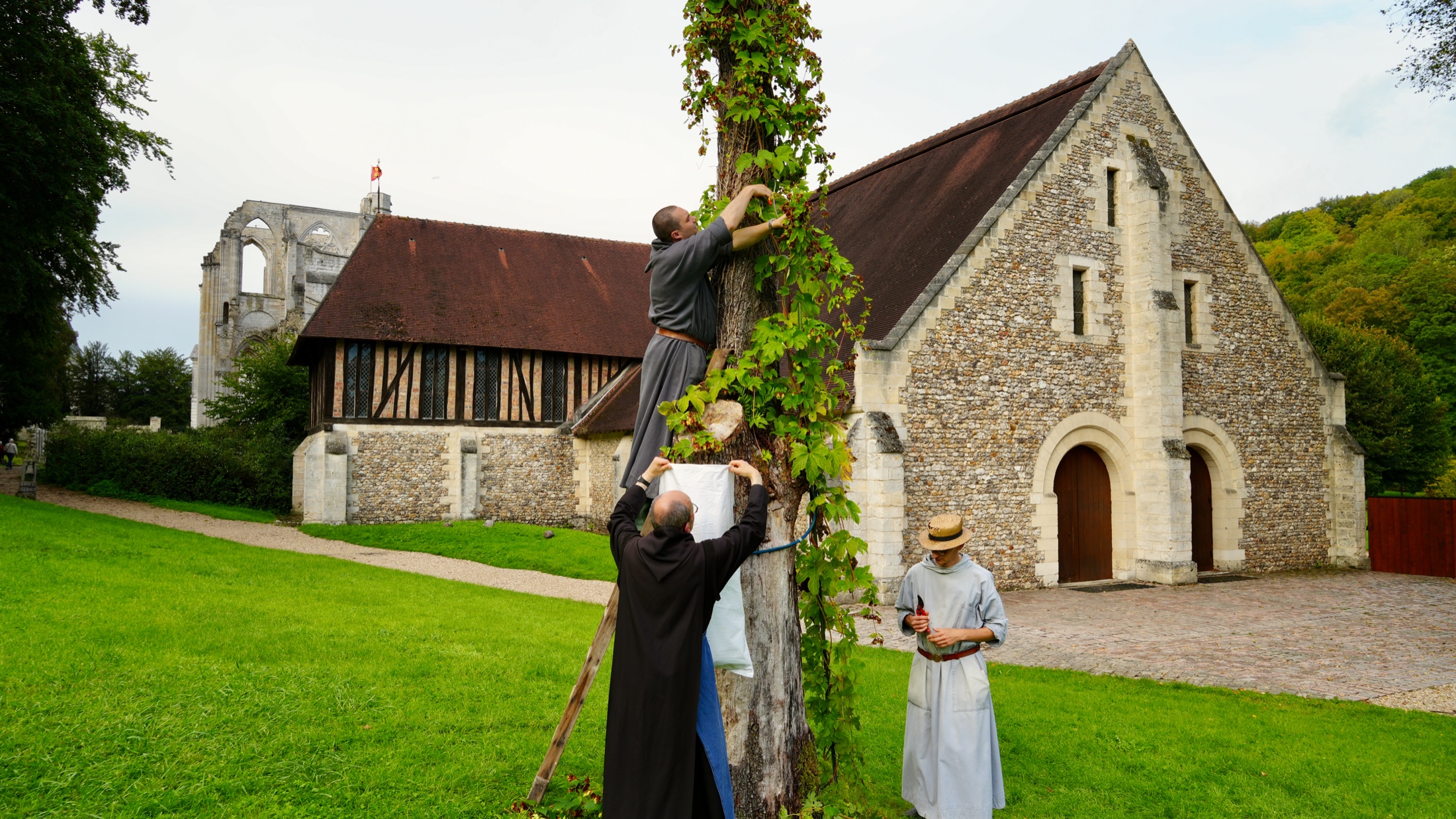 Moines récoltant le houblon dans les jardins de l’abbaye